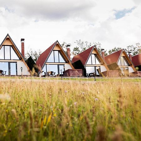 Motel Prislop Haţeg Zewnętrze zdjęcie