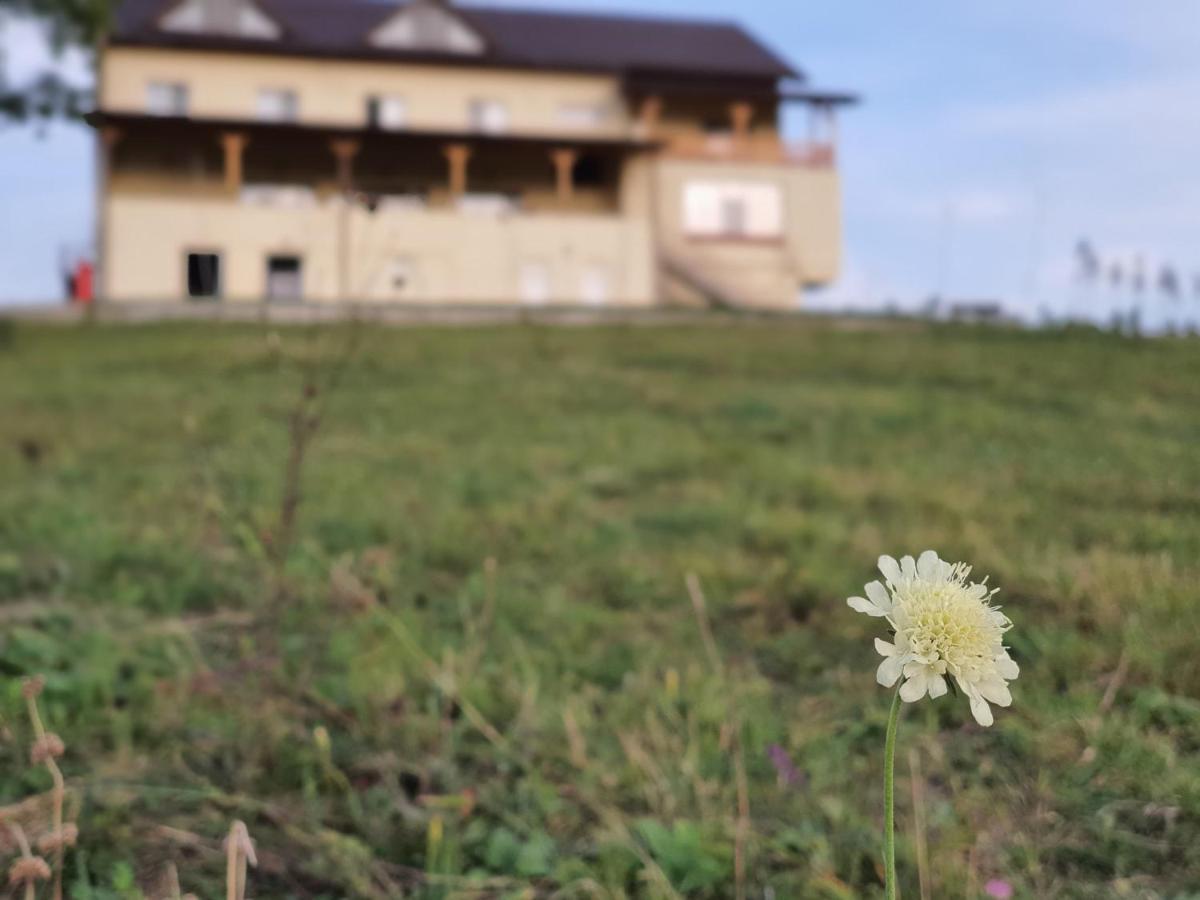 Motel Prislop Haţeg Zewnętrze zdjęcie