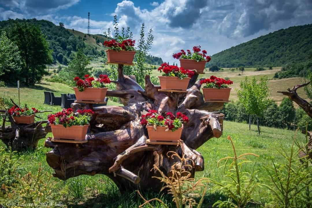 Motel Prislop Haţeg Zewnętrze zdjęcie