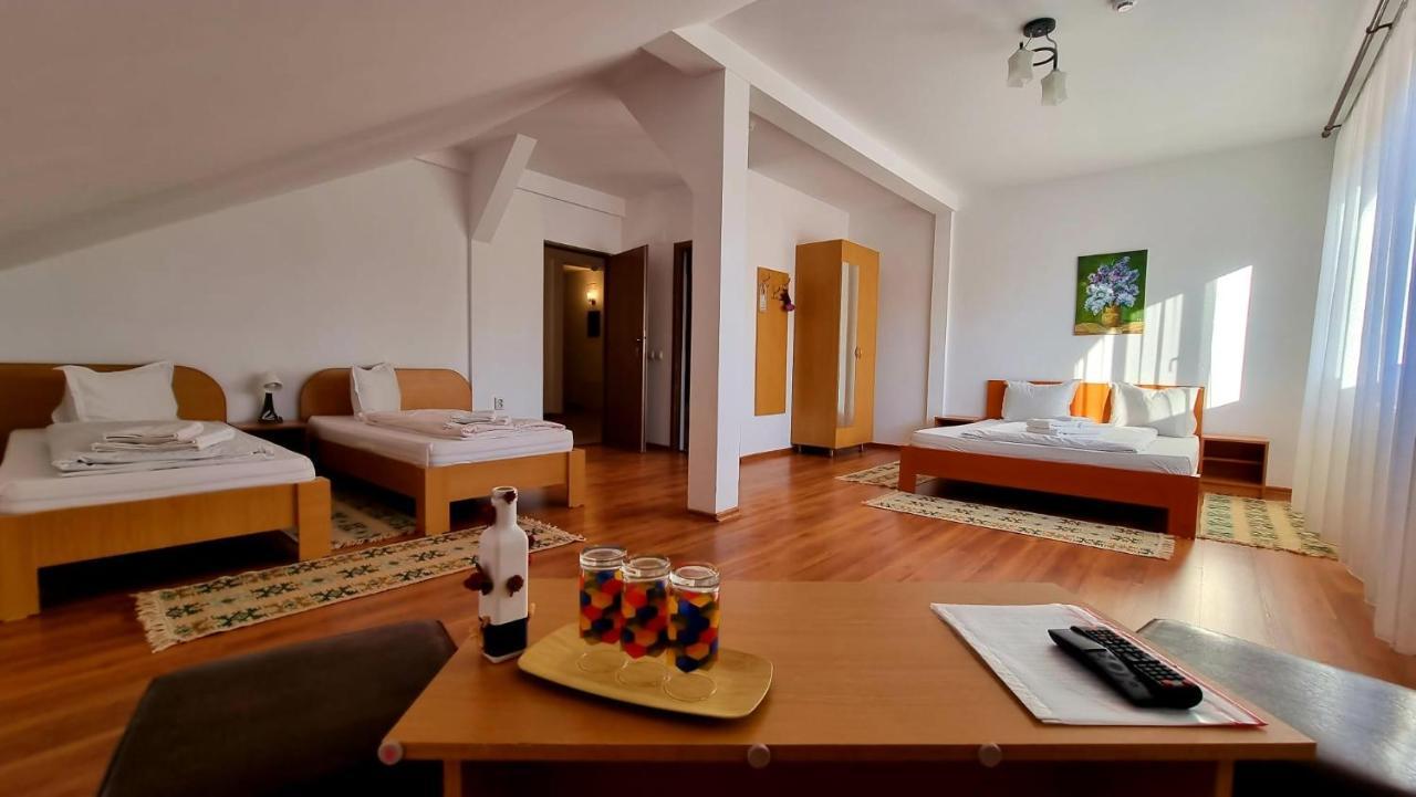 Motel Prislop Haţeg Zewnętrze zdjęcie